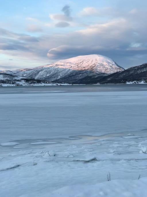 Trivelig Fritidshus Pa Arnes, Senja Straumstad Екстер'єр фото